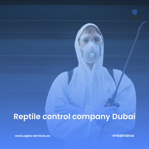 Reptile control company Dubai